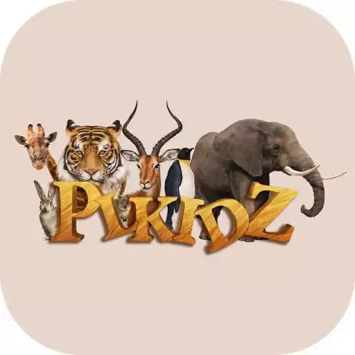 Free play online PLKIDZ APK