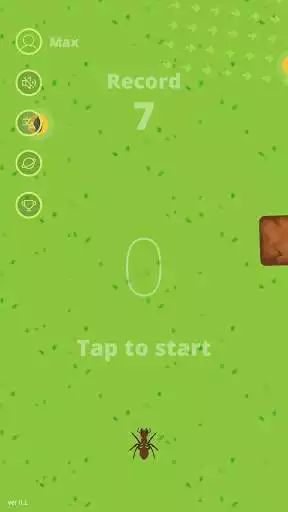 Play Pocket ants colony  and enjoy Pocket ants colony with UptoPlay