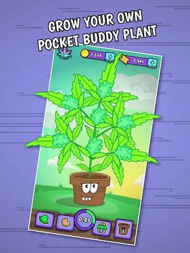 Play Pocket Buddy