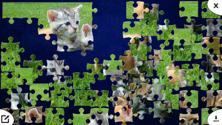 Play Pocket Jigsaw Puzzles