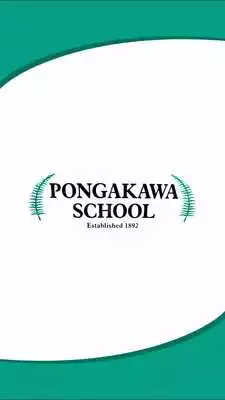 Play Pongakawa School