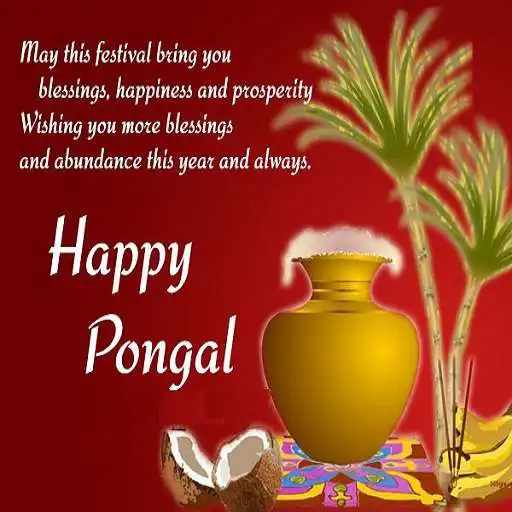 Play Pongal wishes status greetings card APK