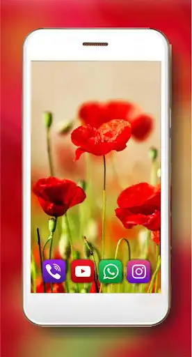 Play Poppy HD Live Wallpaper  and enjoy Poppy HD Live Wallpaper with UptoPlay