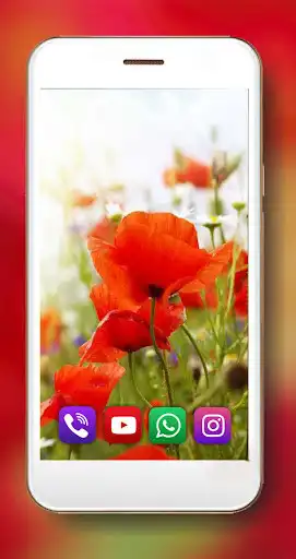 Play Poppy HD Live Wallpaper as an online game Poppy HD Live Wallpaper with UptoPlay