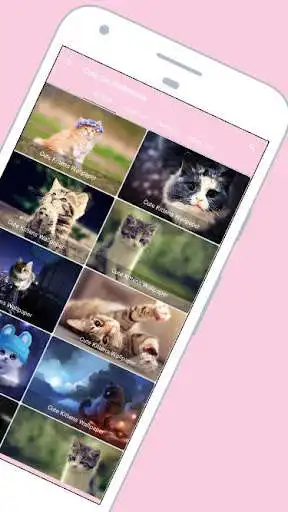 Play Popular Cute Kitten Wallpapers 4K HD as an online game Popular Cute Kitten Wallpapers 4K HD with UptoPlay