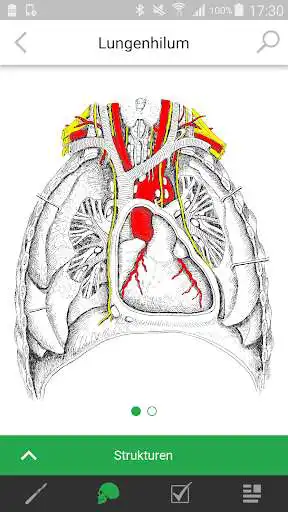 Play Praktikum Klinische Anatomie as an online game Praktikum Klinische Anatomie with UptoPlay