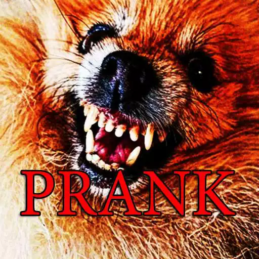 Free play online Prank Angry Dog APK