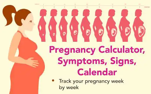 Play Pregnancy calculator, symptoms, signs, calendar  and enjoy Pregnancy calculator, symptoms, signs, calendar with UptoPlay