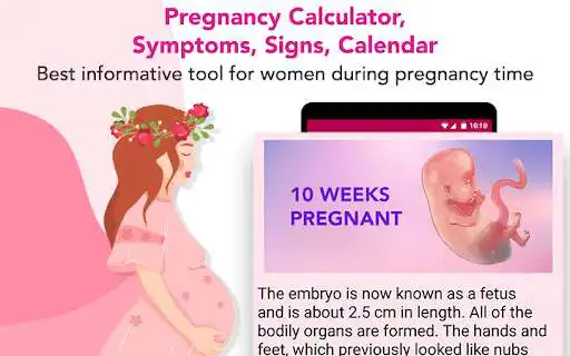 Play Pregnancy calculator, symptoms, signs, calendar as an online game Pregnancy calculator, symptoms, signs, calendar with UptoPlay