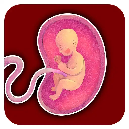 Play Pregnancy Periods Baby Tracker APK