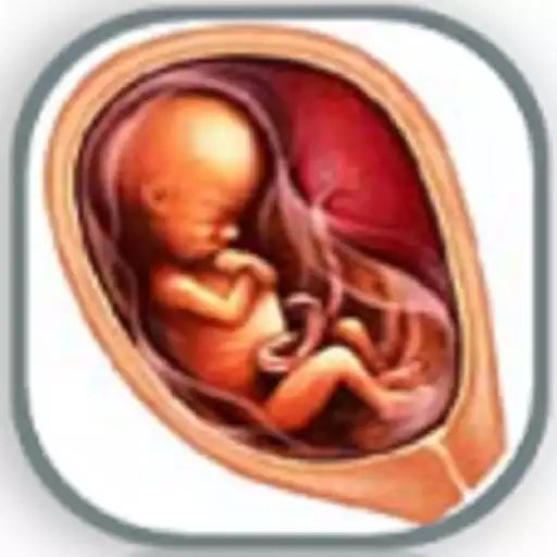 Free play online Pregnancy Week by Week APK