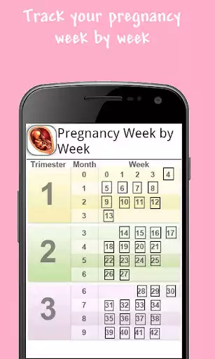 Play Pregnancy Week by Week