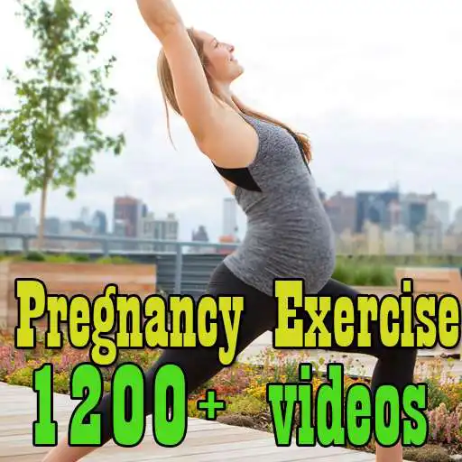 Free play online Pregnancy Workout Exercises APK