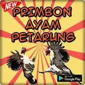 Free play online Primbon Ayam Petarung Terlengkap APK