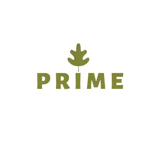 Play Prime! APK