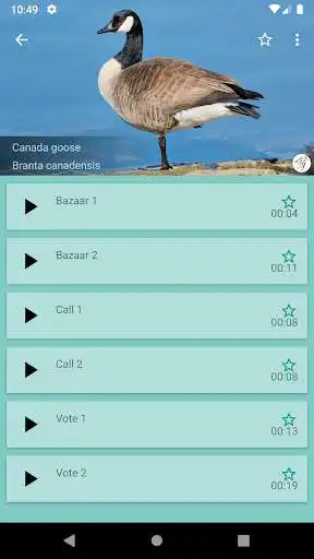 Play Progressive Goose Decoy as an online game Progressive Goose Decoy with UptoPlay