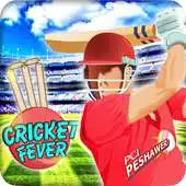 Free play online PSL Cricket Fever APK