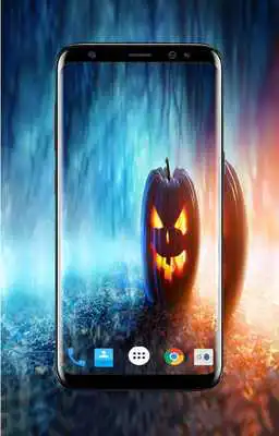 Play Pumkin Wallpaper