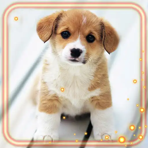 Play Puppies Friendly APK