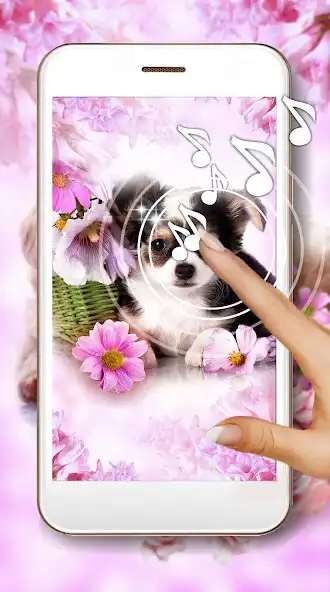 Play Puppy and Kitty Live Wallpaper  and enjoy Puppy and Kitty Live Wallpaper with UptoPlay