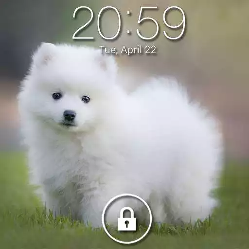 Play Puppy Dog Pin Lock Screen APK