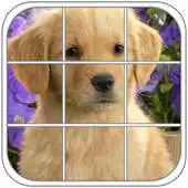 Free play online Puppy Epic Puzzle APK