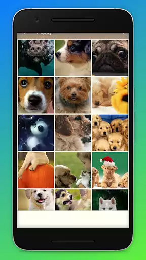 Play Puppy HD Wallpapers as an online game Puppy HD Wallpapers with UptoPlay