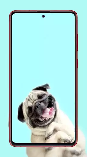 Play Puppy Wallpapers as an online game Puppy Wallpapers with UptoPlay