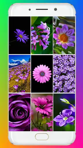 Play Purple Flower Wallpaper  and enjoy Purple Flower Wallpaper with UptoPlay