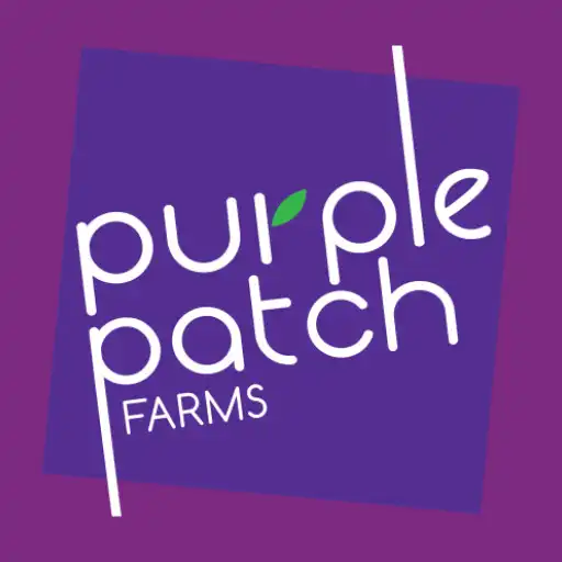 Play PURPLE PATCH FARMS APK