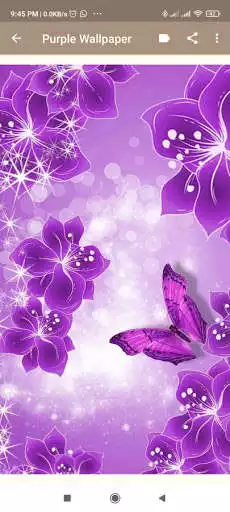 Play Purple Wallpaper : HD as an online game Purple Wallpaper : HD with UptoPlay