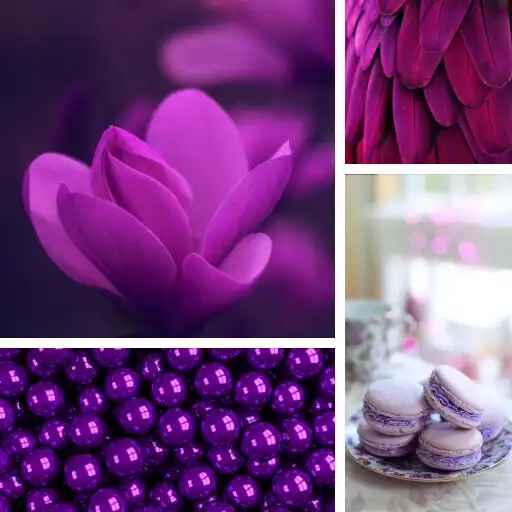 Play Purple Wallpapers  Background APK