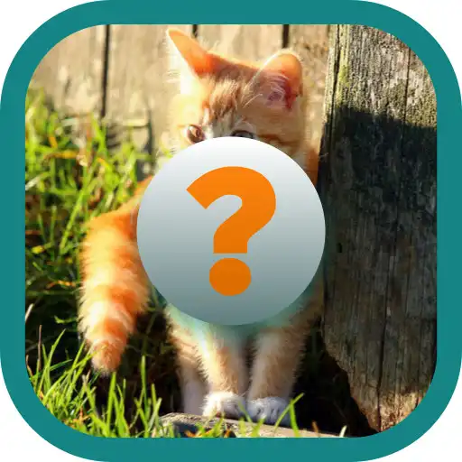 Play Quiz  Animals : Guess and learn APK