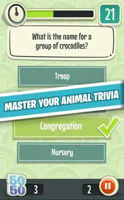 Play Quiz Owls Animal Trivia - Free Animal Facts Game