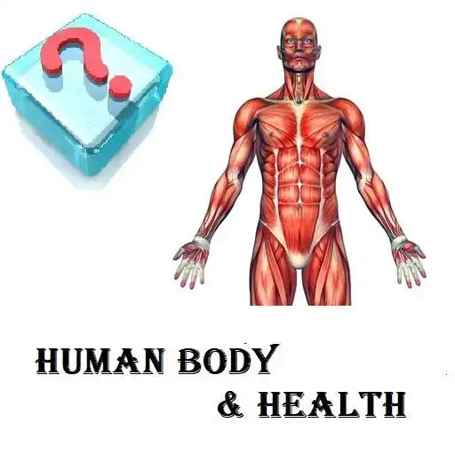 Play Quiz Your Body APK