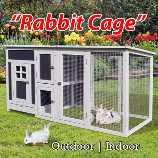 Play Rabbit Cage Outdoor & Indoor APK