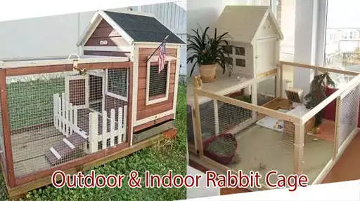 Play Rabbit Cage Outdoor & Indoor  and enjoy Rabbit Cage Outdoor & Indoor with UptoPlay