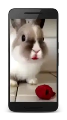 Play Rabbit HD Live Wallpaper