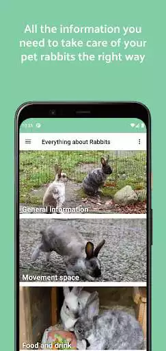 Play Rabbit Information  and enjoy Rabbit Information with UptoPlay