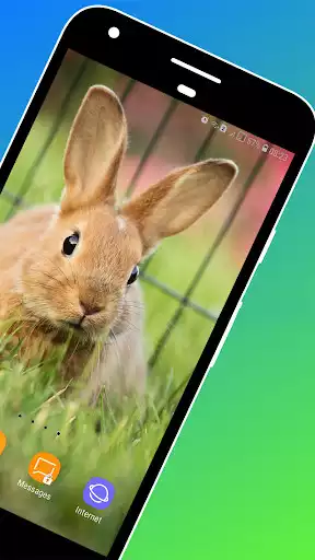 Play Rabbit Wallpaper as an online game Rabbit Wallpaper with UptoPlay