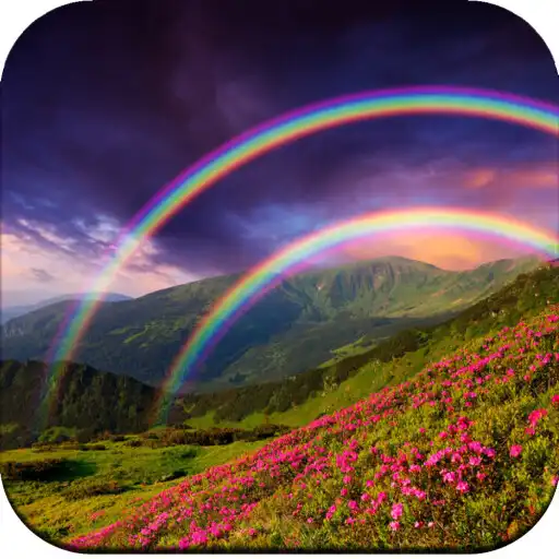 Play Rainbow Wallpaper 4K APK