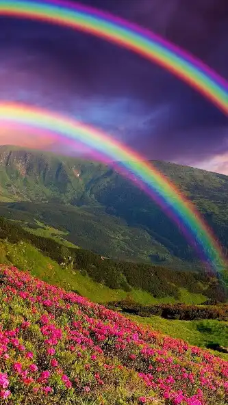 Play Rainbow Wallpaper 4K as an online game Rainbow Wallpaper 4K with UptoPlay