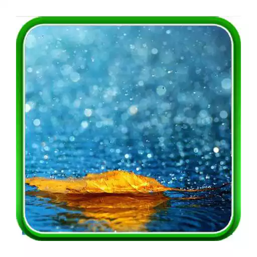 Free play online Rain Live Wallpapers  APK