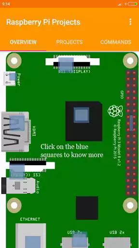 Play Raspberry Pi Projects