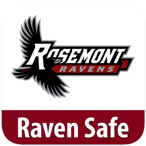 Play Raven Safe APK