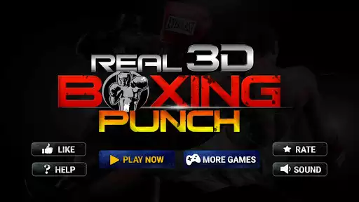 Play Real 3D Boxing Punch