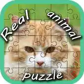 Free play online Real Animal Puzzle Pieces APK