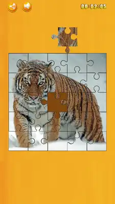 Play Real Animal Puzzle Pieces