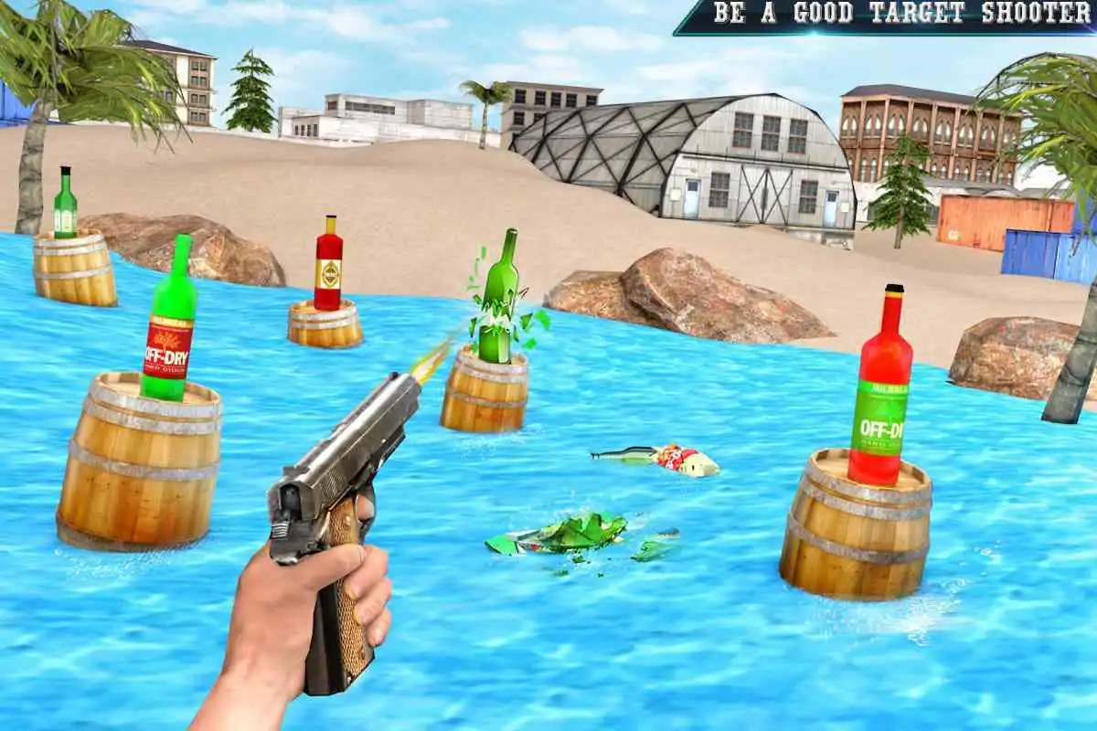 Play Real Bottle Shooting