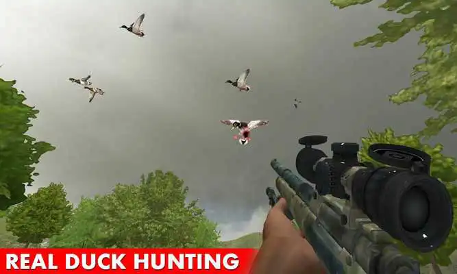 Play Real Duck Hunting 2018 Season: FPS Shooting Game